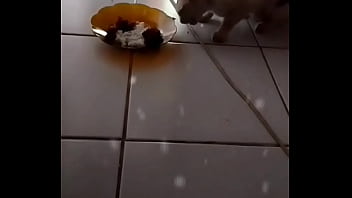 Gadis Panggilan Anita Yang Menggoda