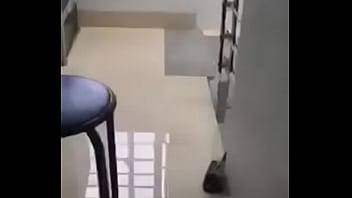 Titit Vietnam Yang Menggoda