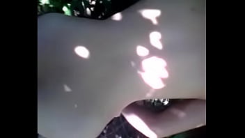 Cưỡi Chó Trong Rừng Sâu