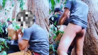 Rekaman Panas Pasangan Bercinta Di Bawah Pohon Besar