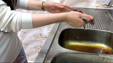 كفيل سعودي يركب الخادمة المصرية من الخلف في غياب زوجته